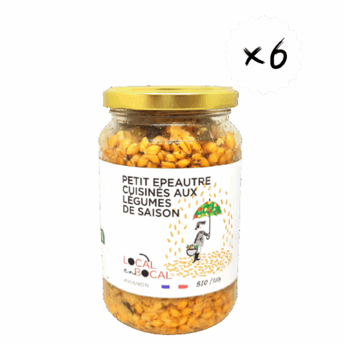 Petit épeautre aux légumes BIO 320g x 6